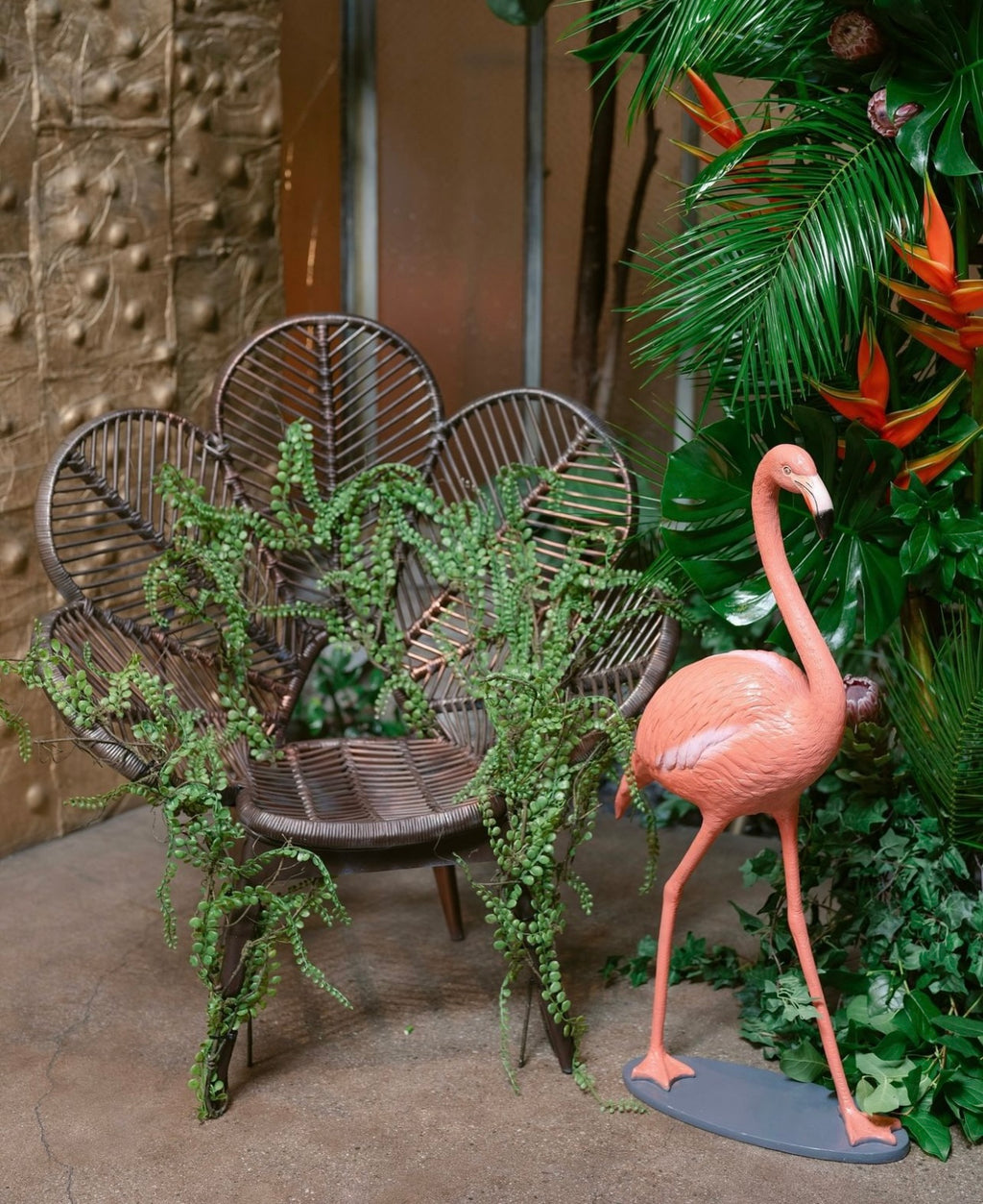 Small Flamingo