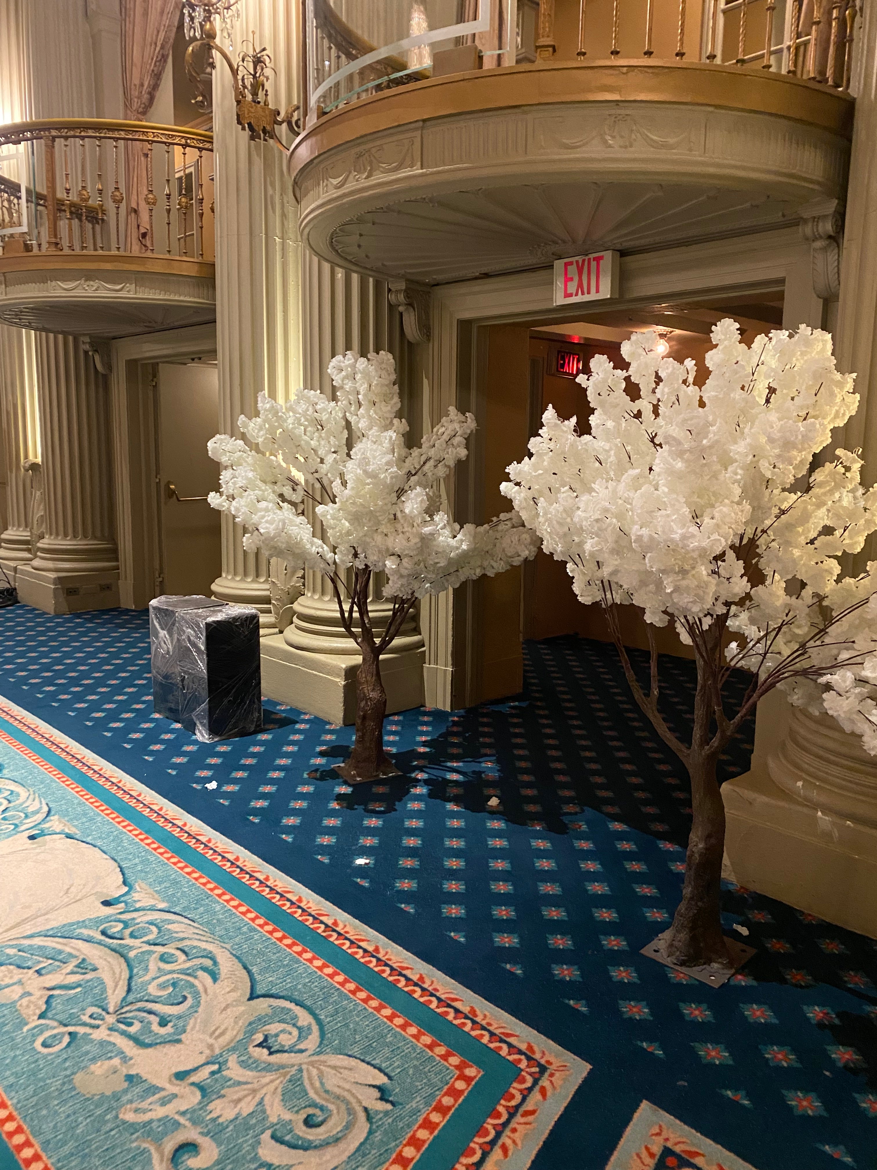 5 Foot White Cherry Blossom Tree