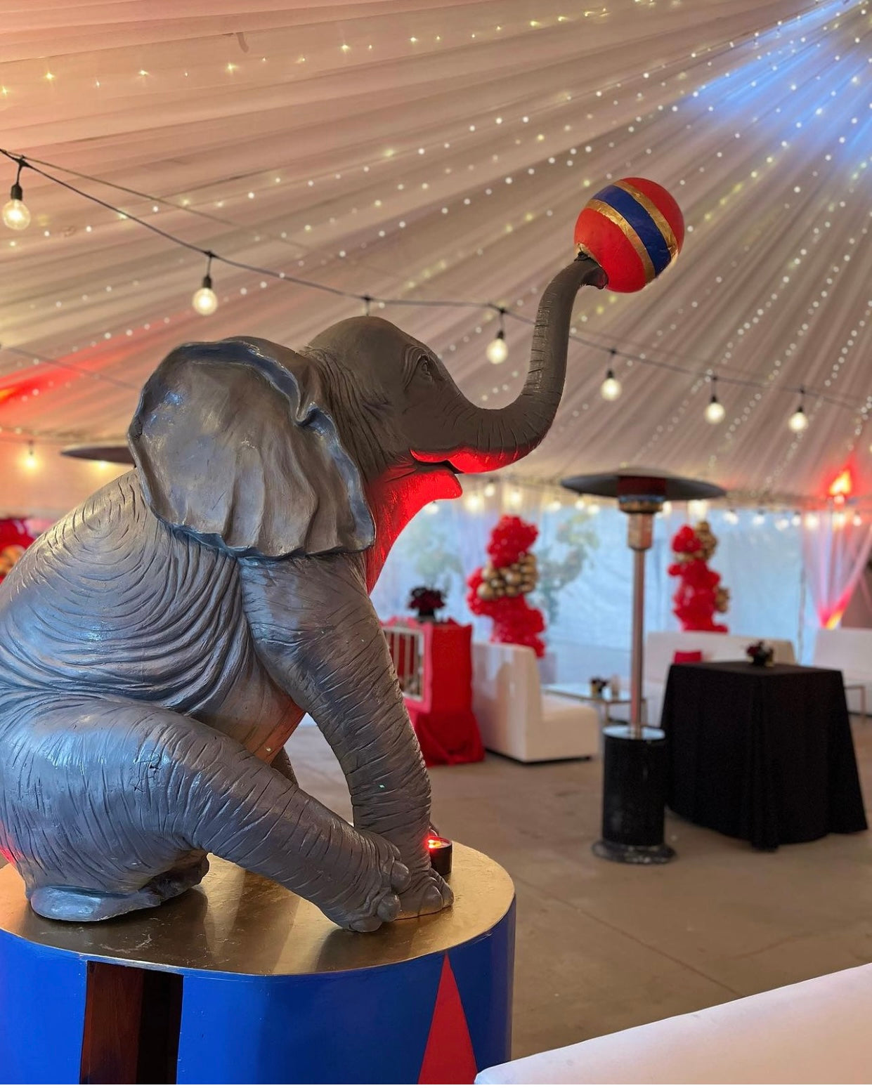 Circus Elephant Package