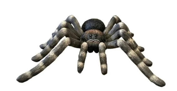 Oversized Spider
