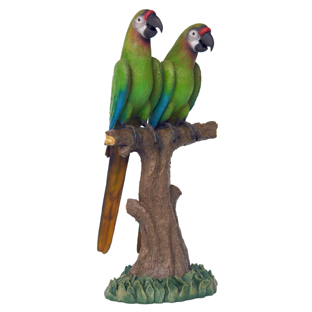 Green Parrots
