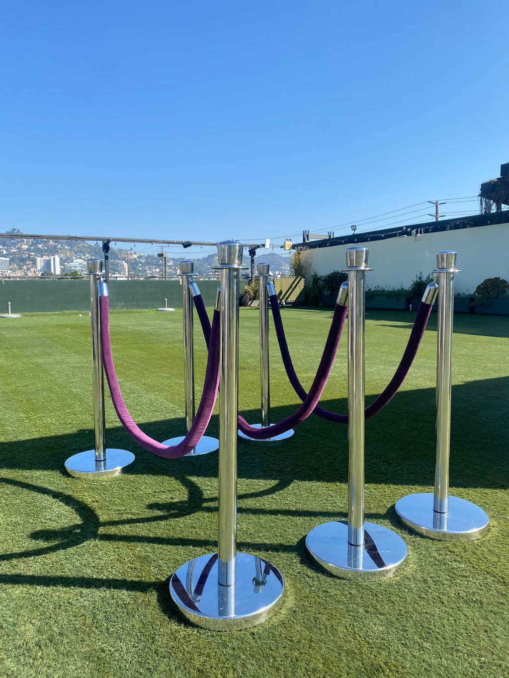 Silver Stanchions w/ Purple Ropes