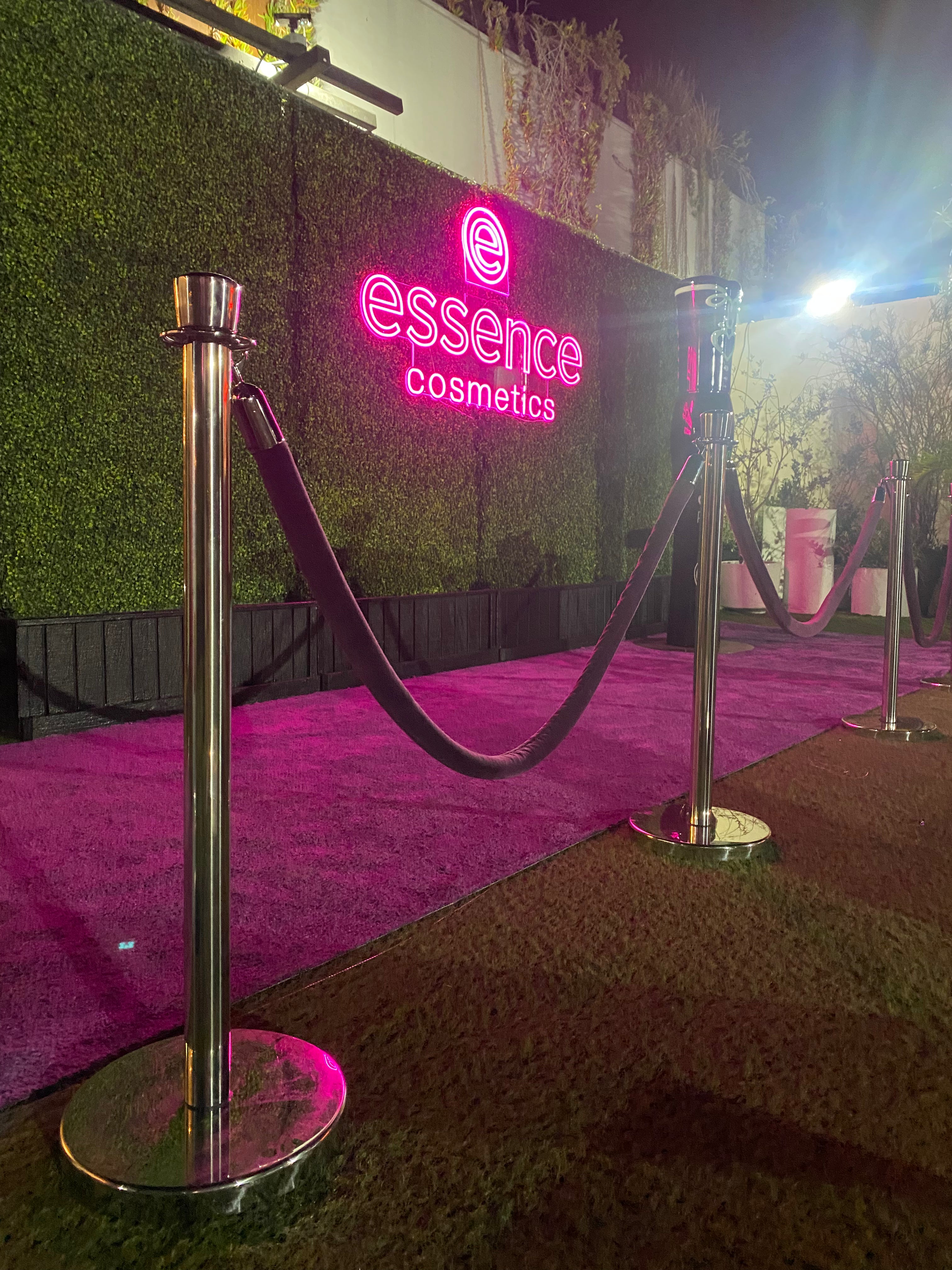 Silver Stanchions w/ Purple Ropes