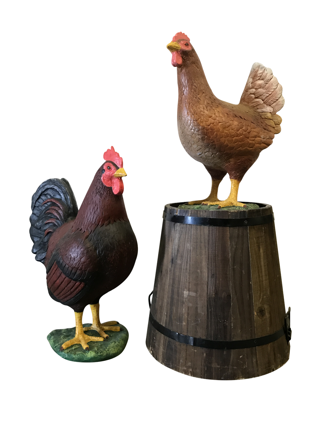 Red Chicken Hen