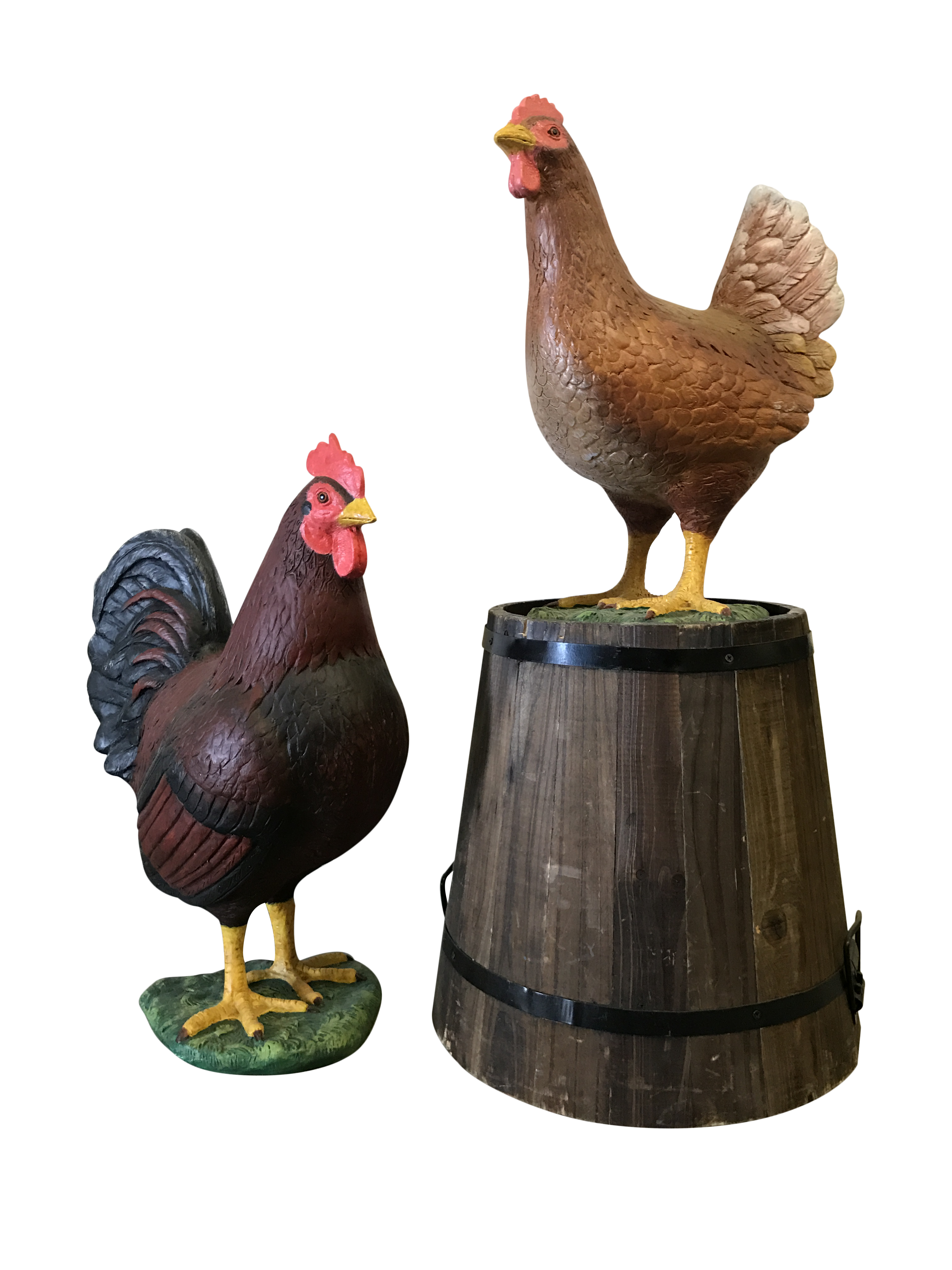 Red Chicken Hen