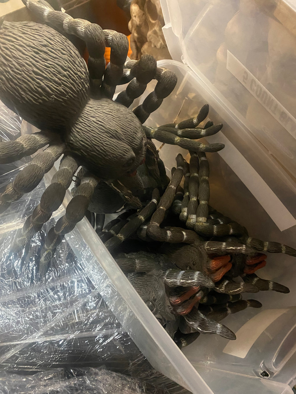 Box Of Large Spiders
