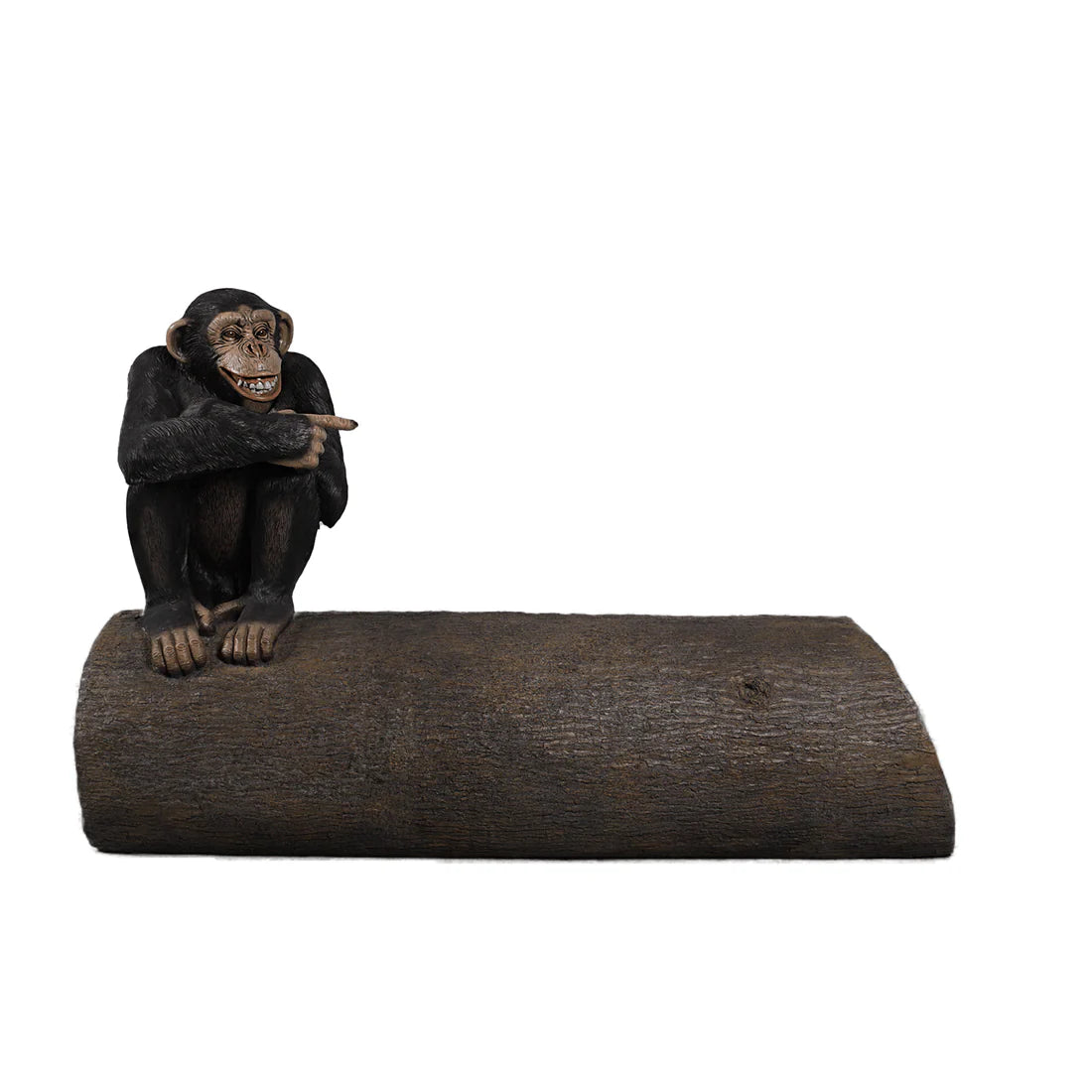 Monkey Sitting On Tree Trunk