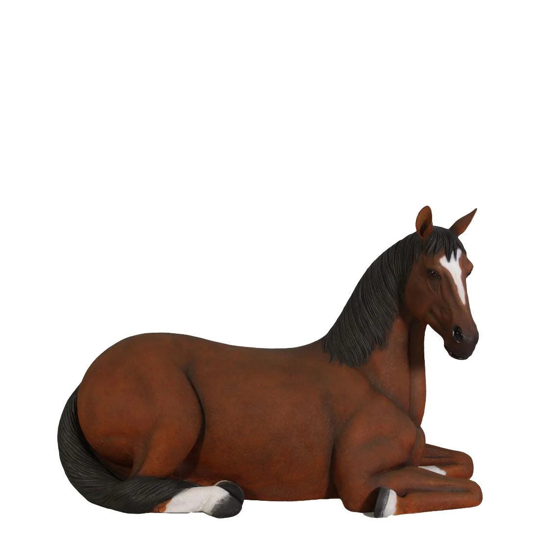 Laying Brown Brown Horse