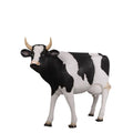 Adult Standing Cow