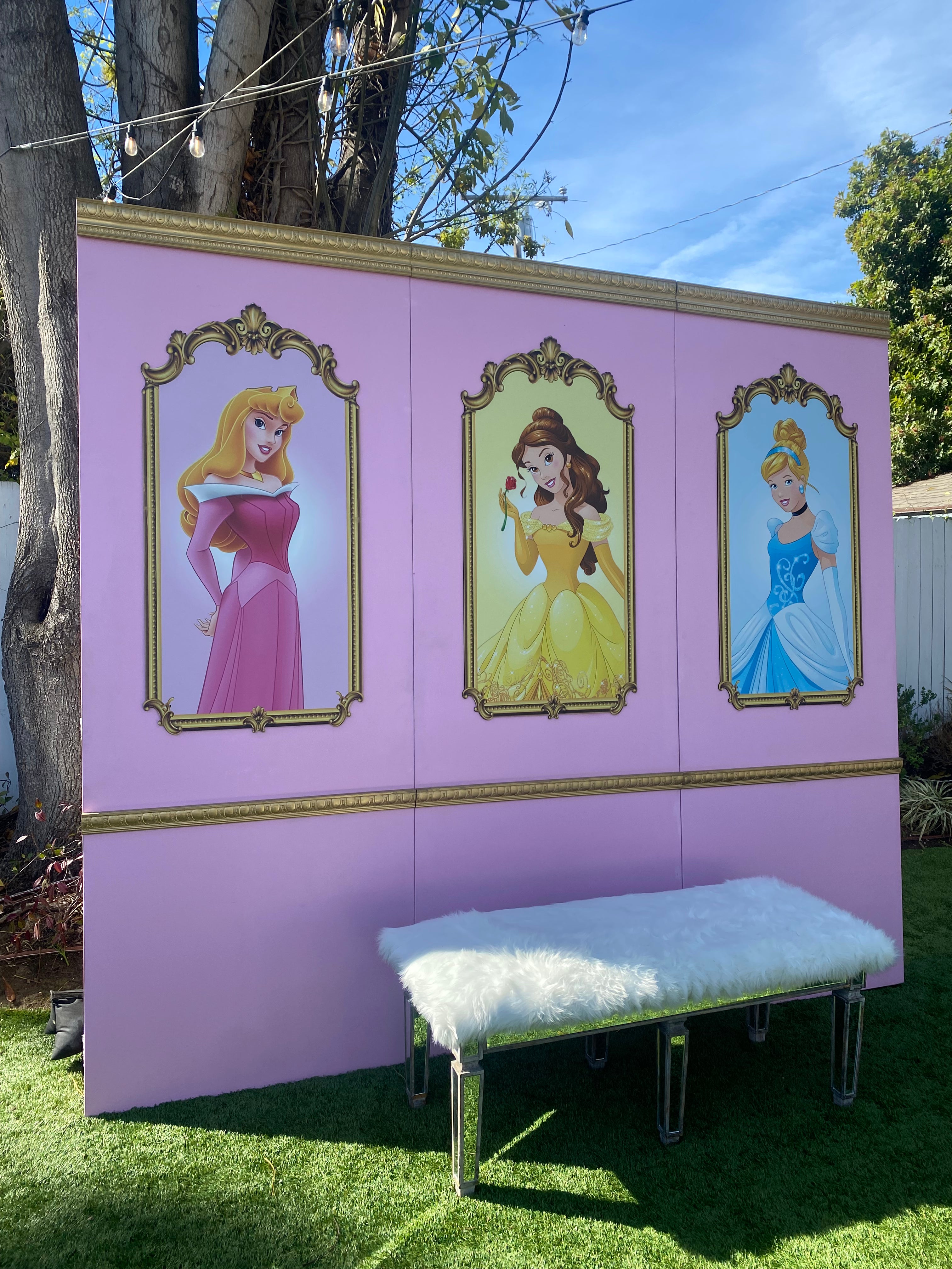 Princess Belle Backdrop Panel