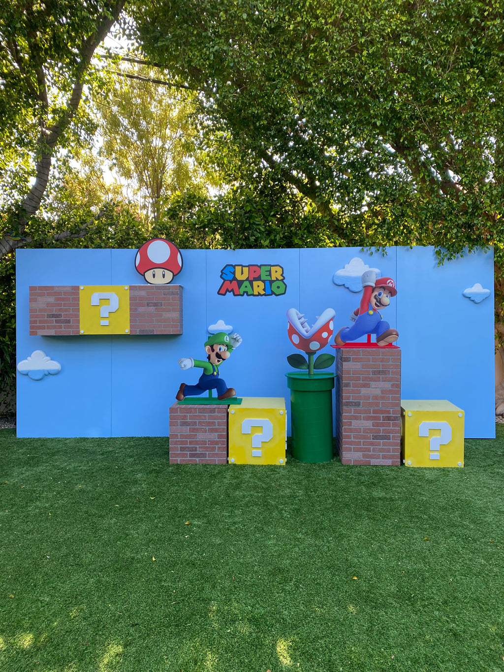 3D Super Mario Brothers Package
