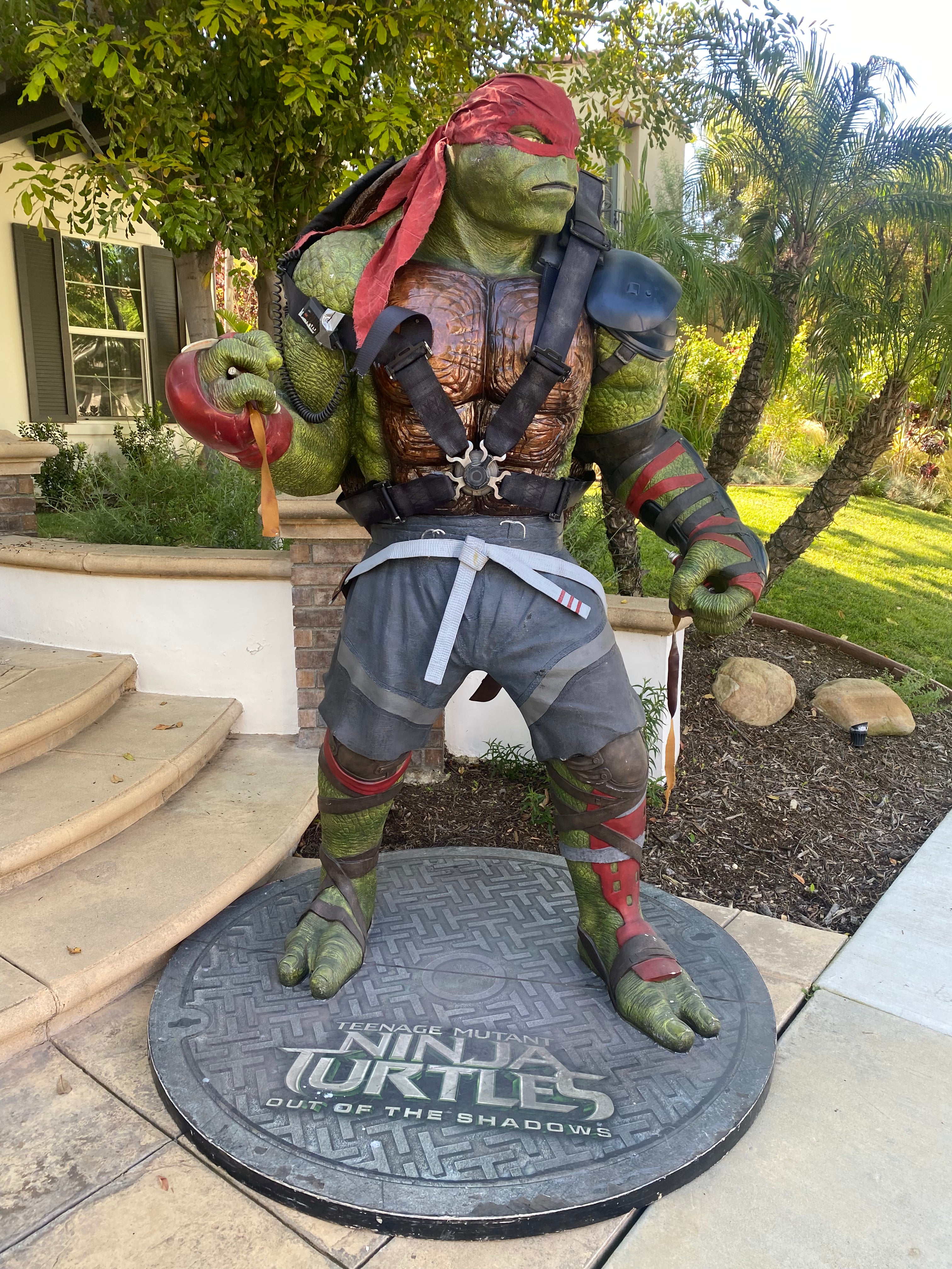 Raphael Teenage Mutant Ninja Turtle