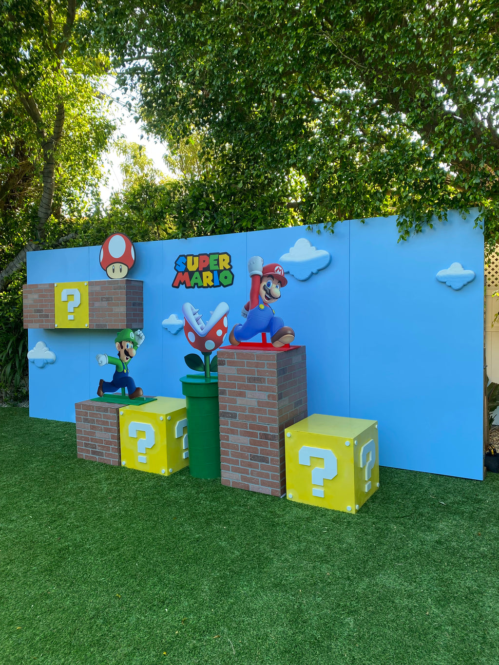 3D Super Mario Brothers Package