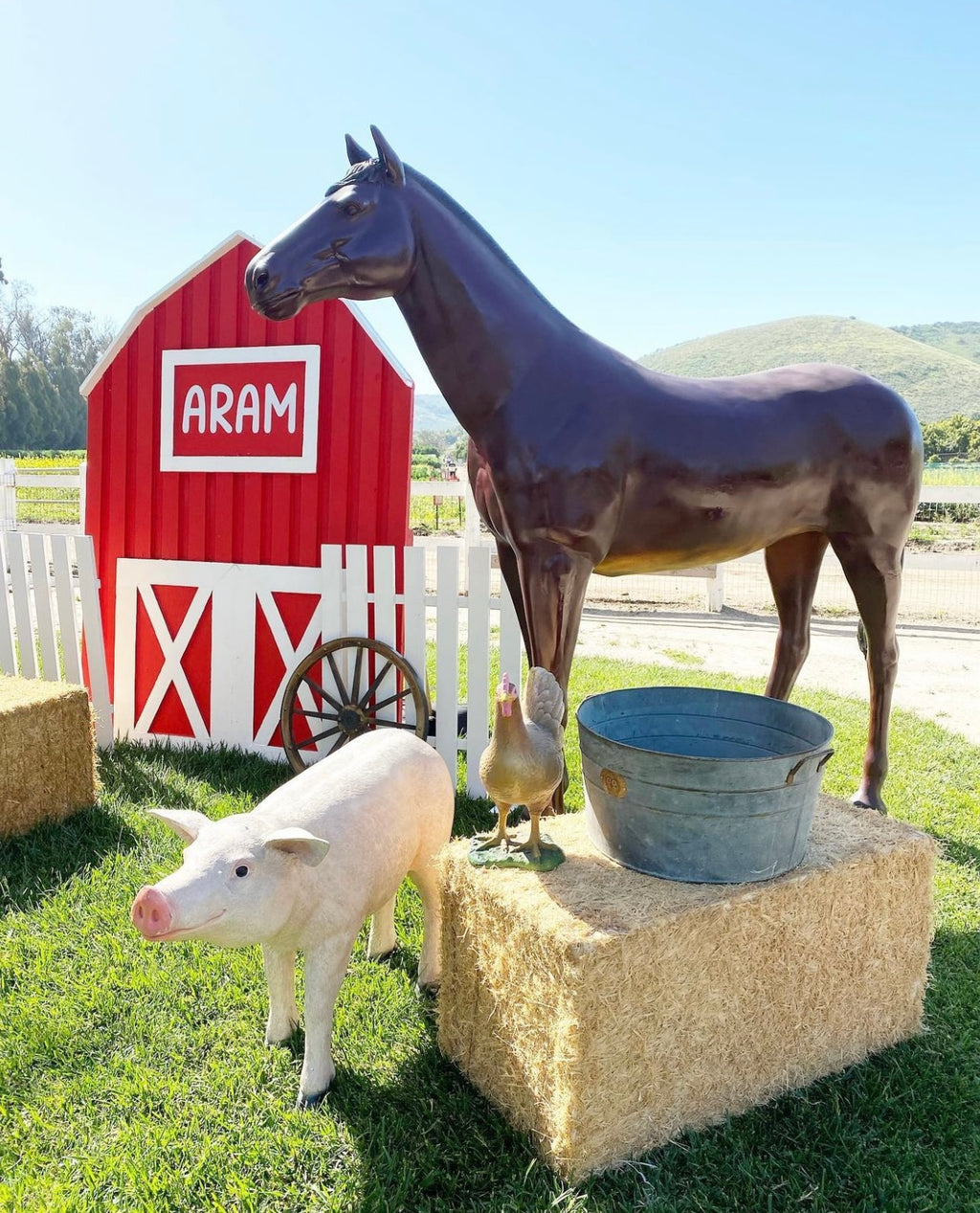 Large Dark Brown Horse