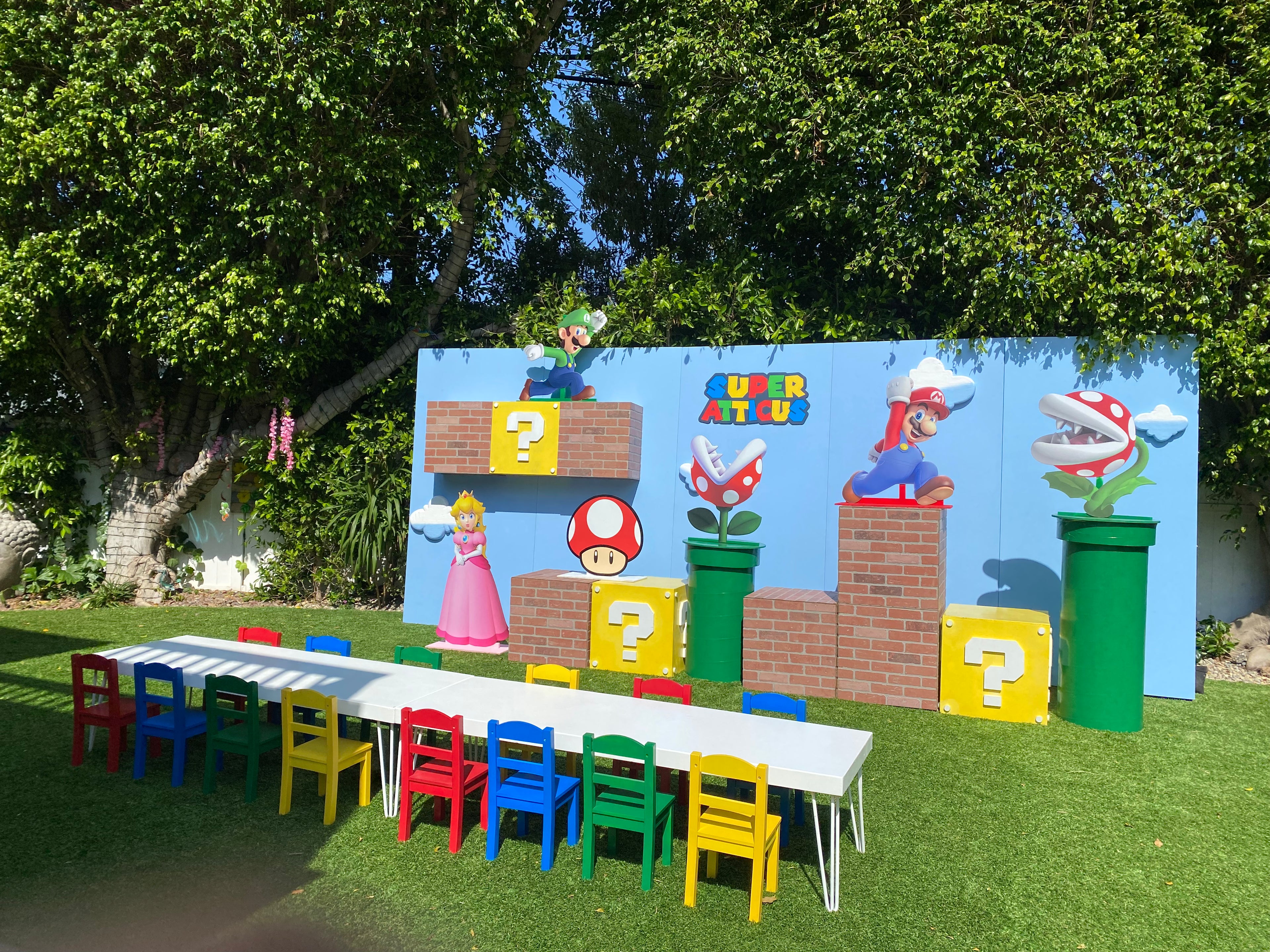 Princess Peach Wood Cut Out Standee