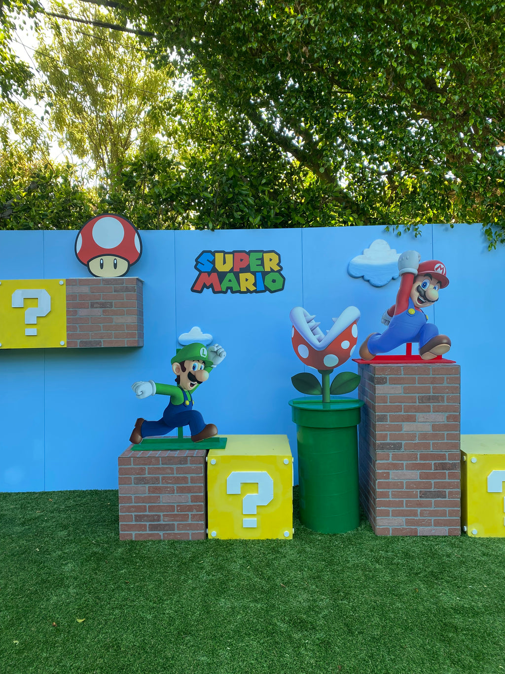 3D Super Mario Brothers Package