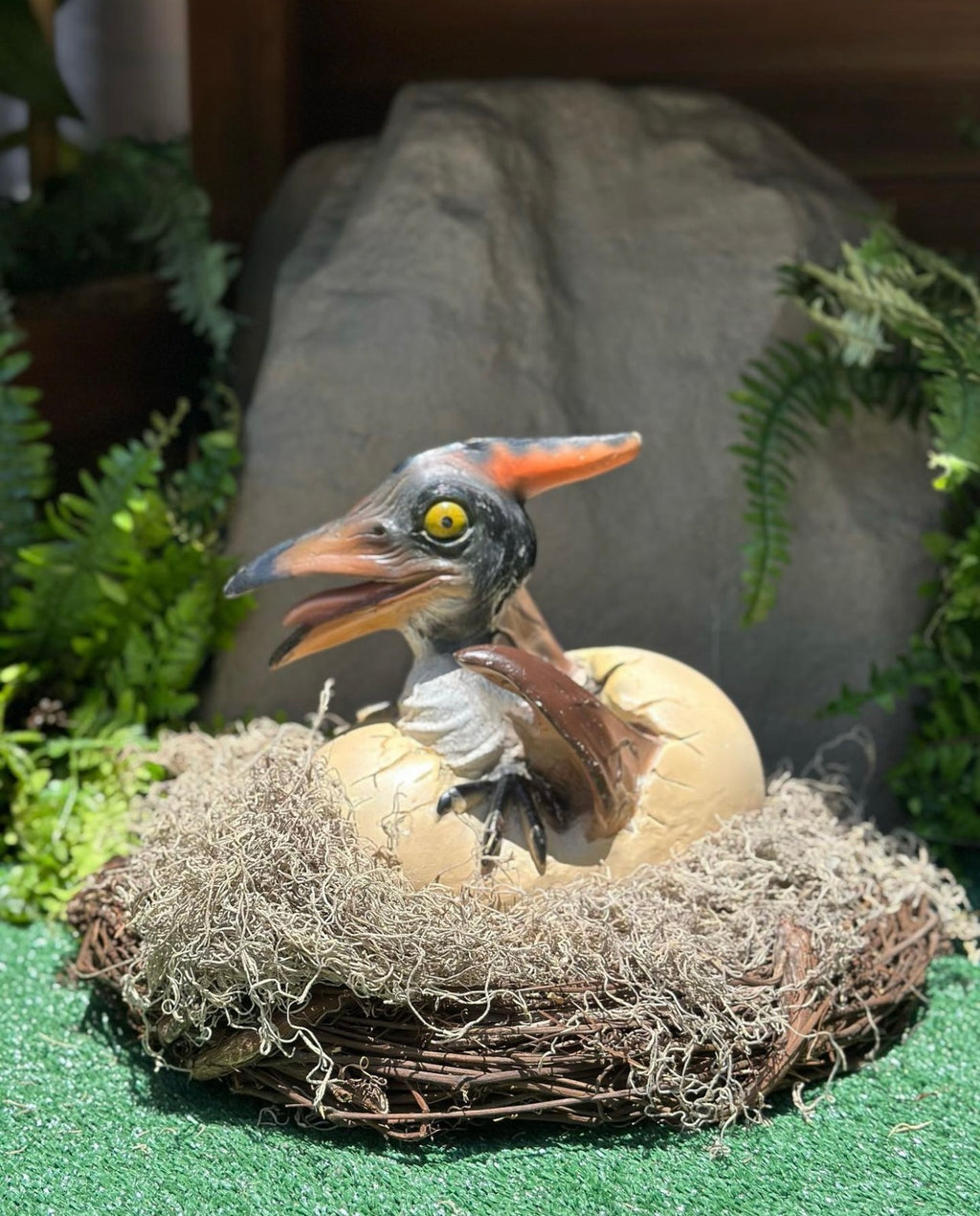 Pteranodon Dinosaur Egg