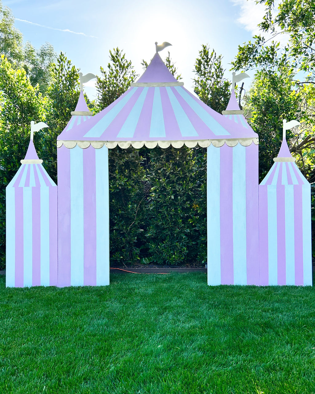 Double Pink Circus / Carnival Tent Backdrop