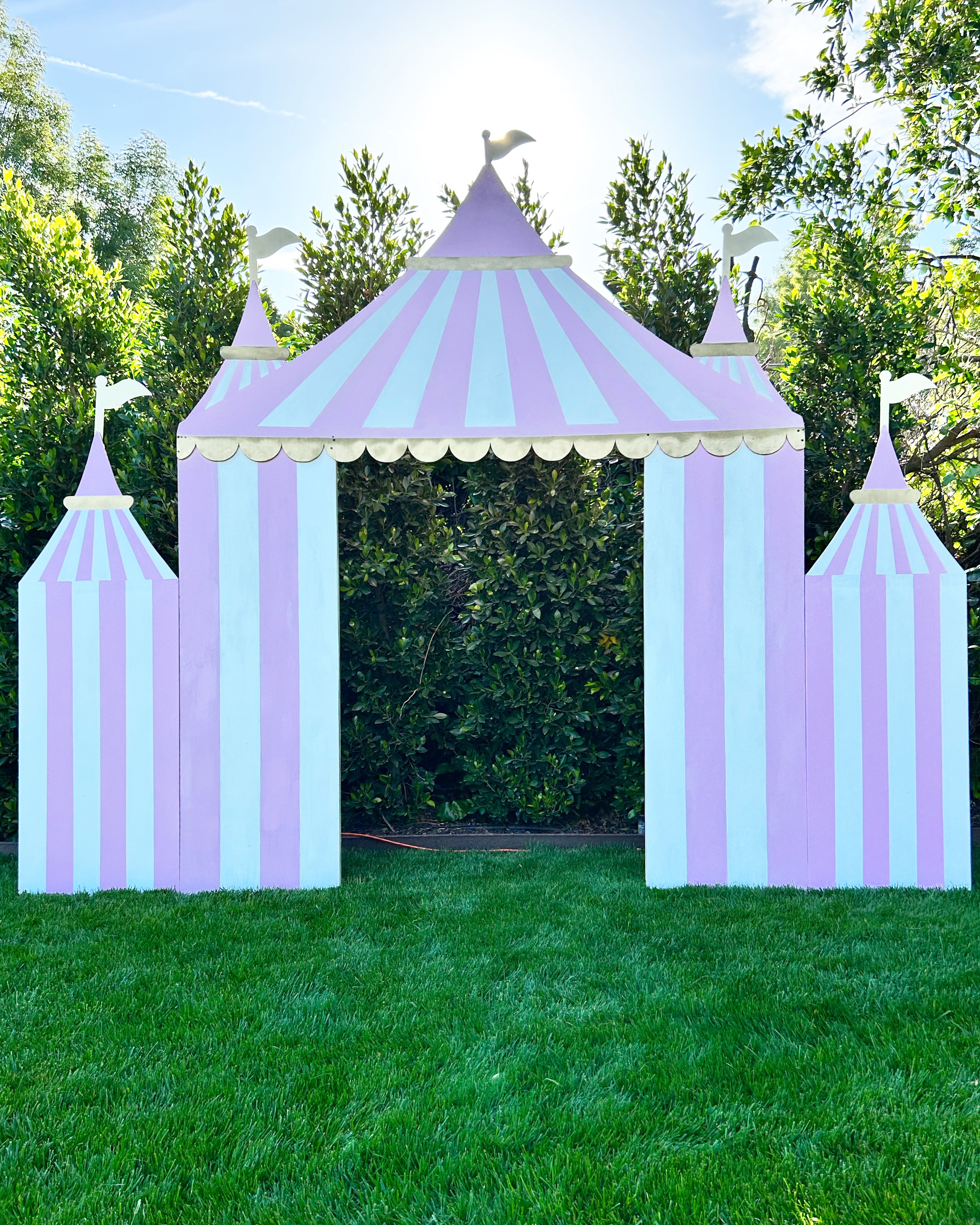 Double Pink Circus / Carnival Tent Backdrop