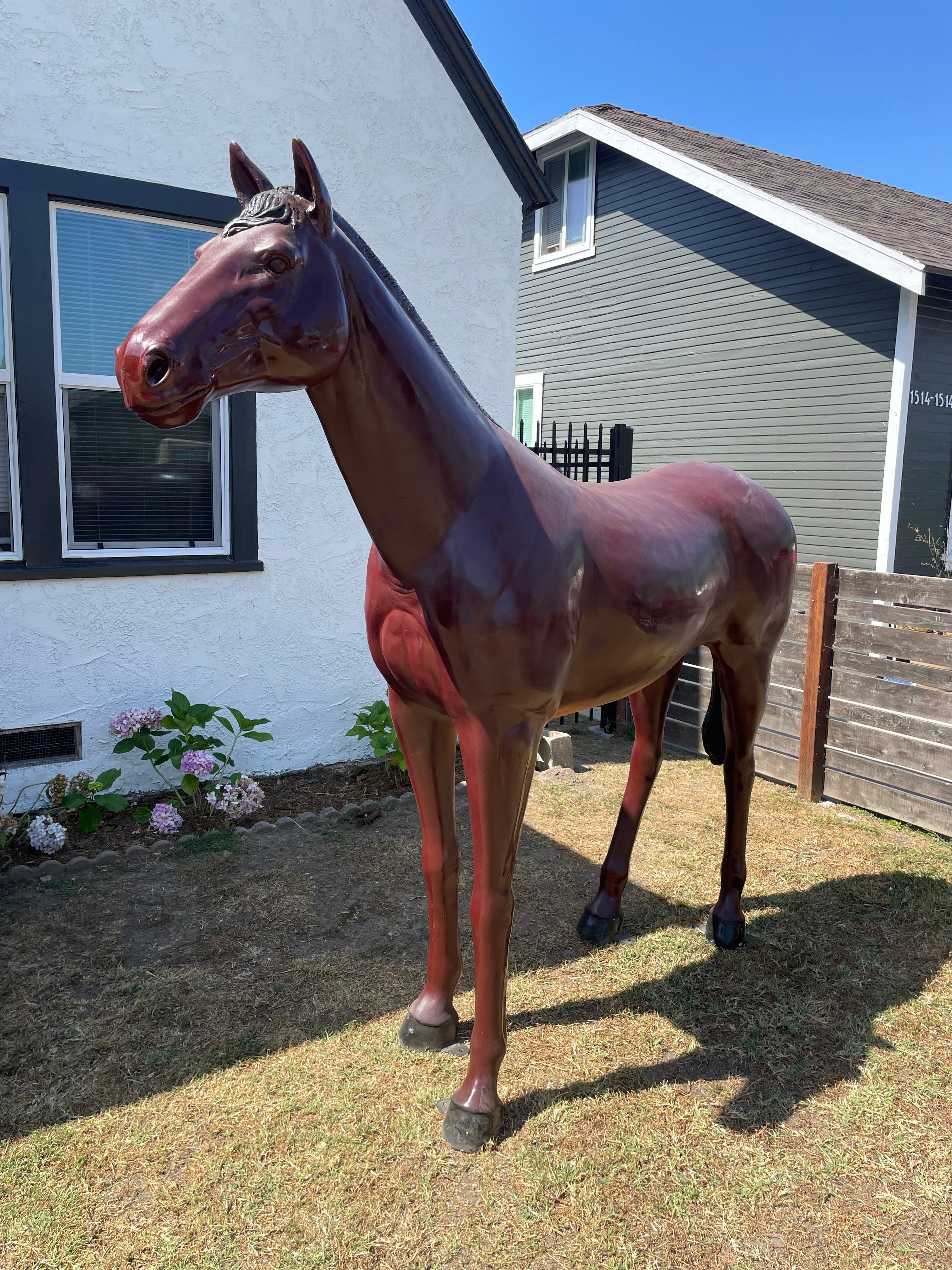 Large Dark Brown Horse
