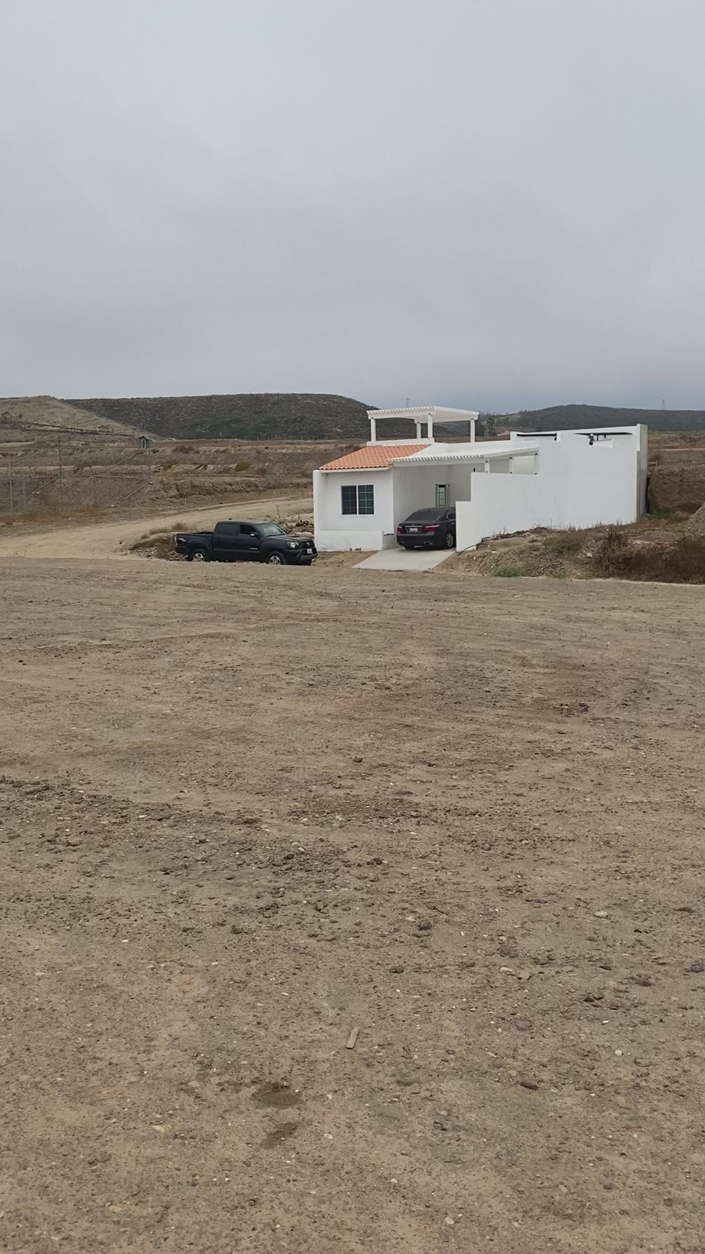 Pteranodon Dinosaur Egg