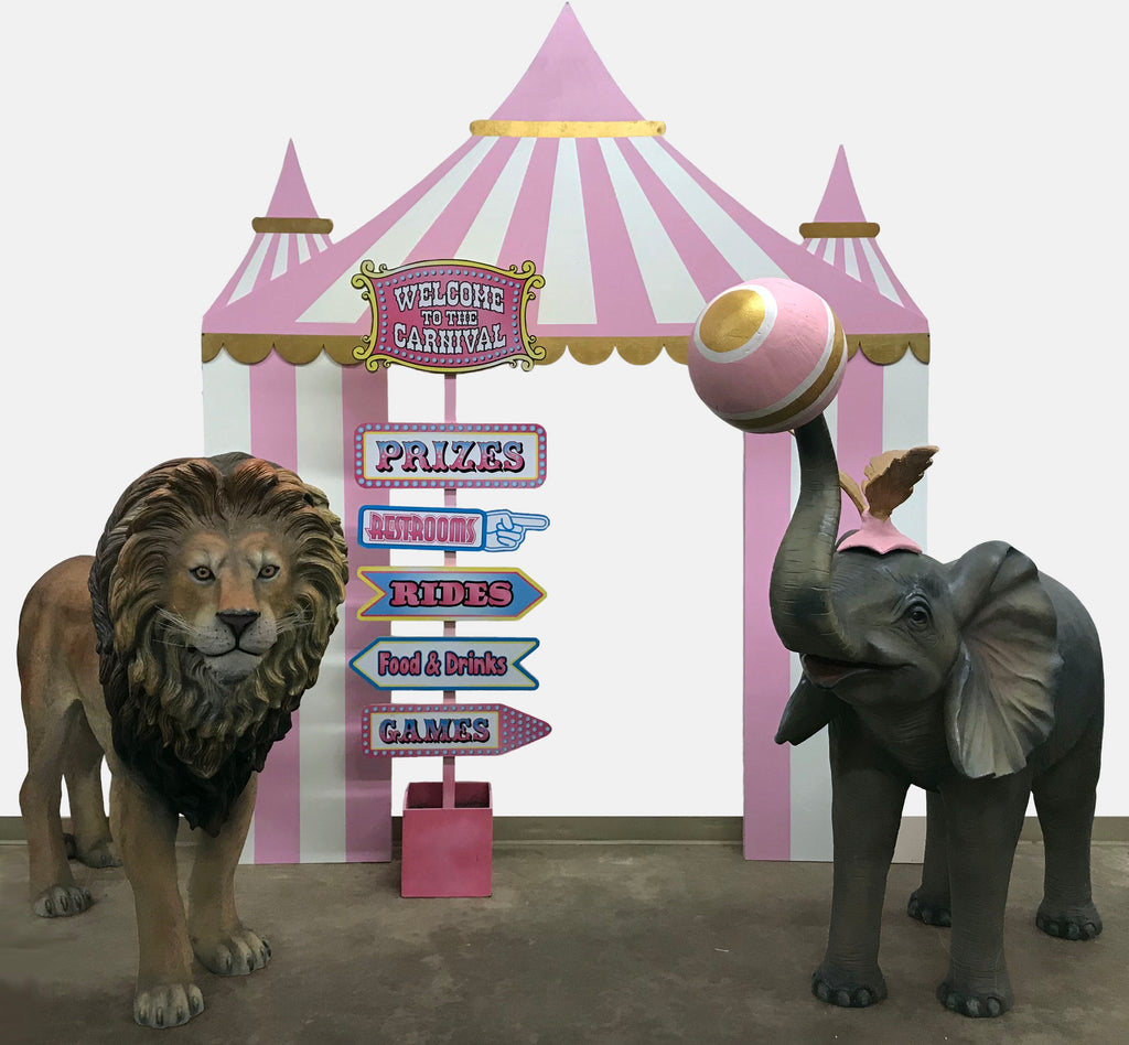 Light Pink Circus/Carnival Package