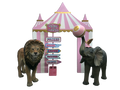 Light Pink Circus/Carnival Package