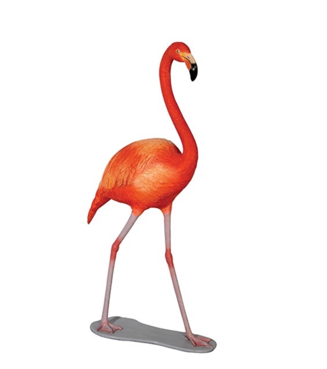Small Flamingo