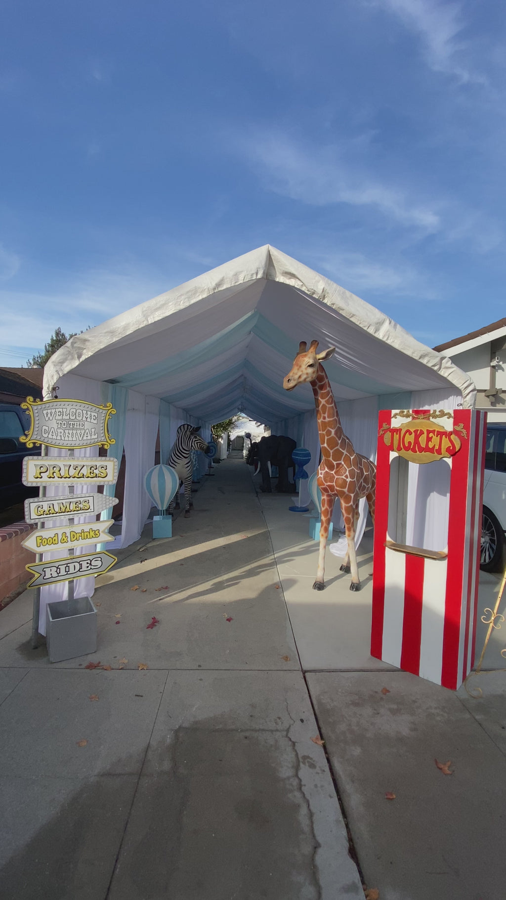 Adult Standing Zebra