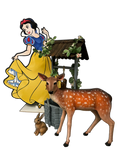 Snow White Package