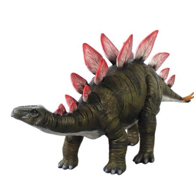 Baby Stegosaurus Dinosaur