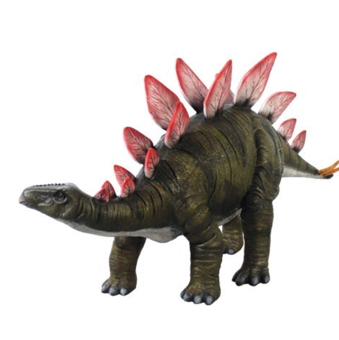 Baby Stegosaurus Dinosaur
