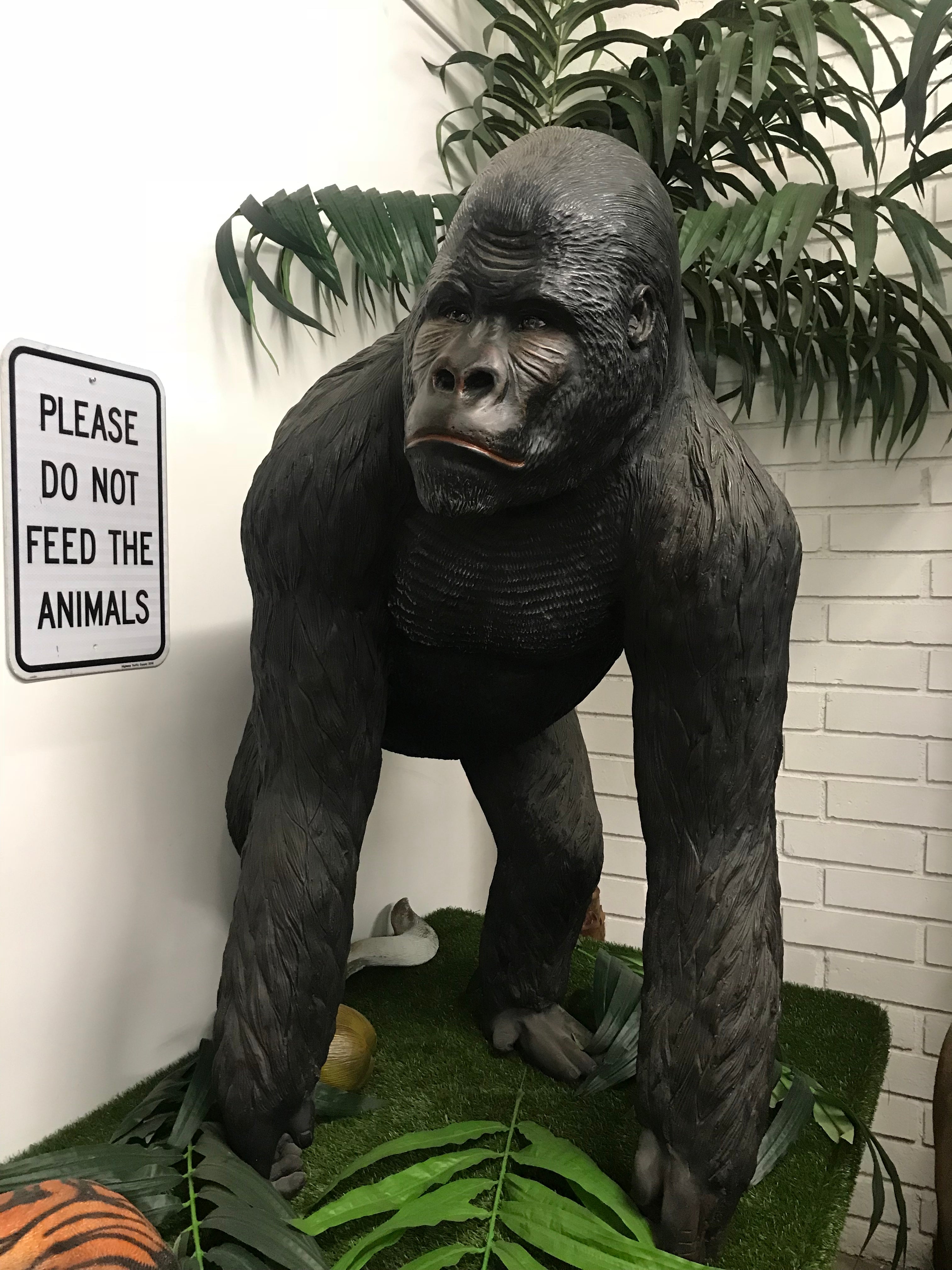 Standing Gorilla