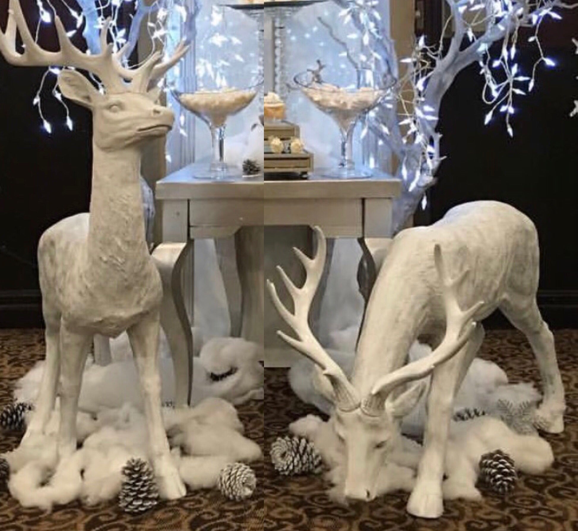 White Reindeer Couple