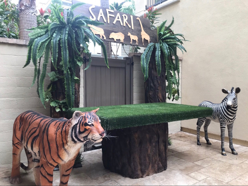 Zebra