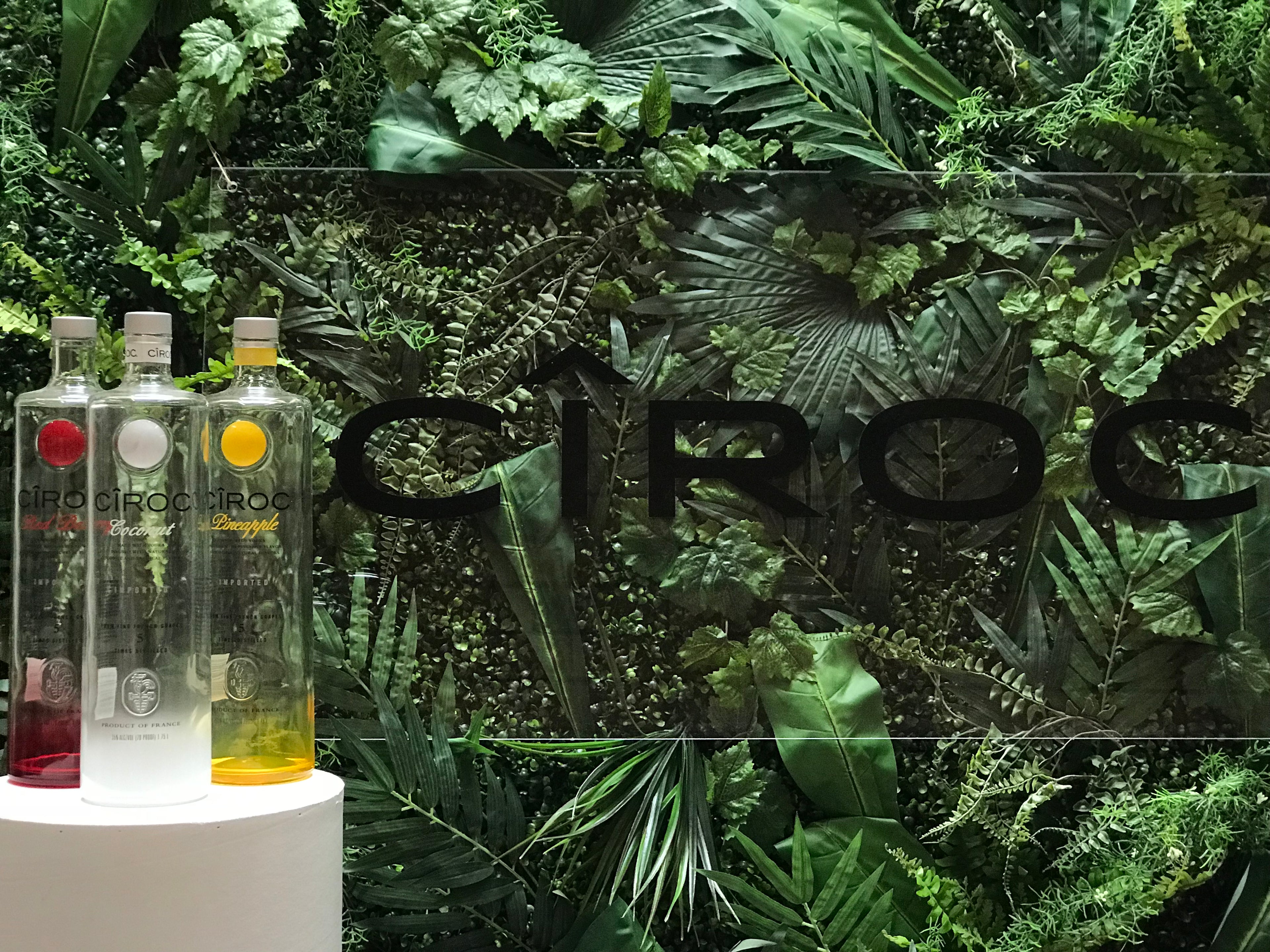 Foliage Wall Backdrop