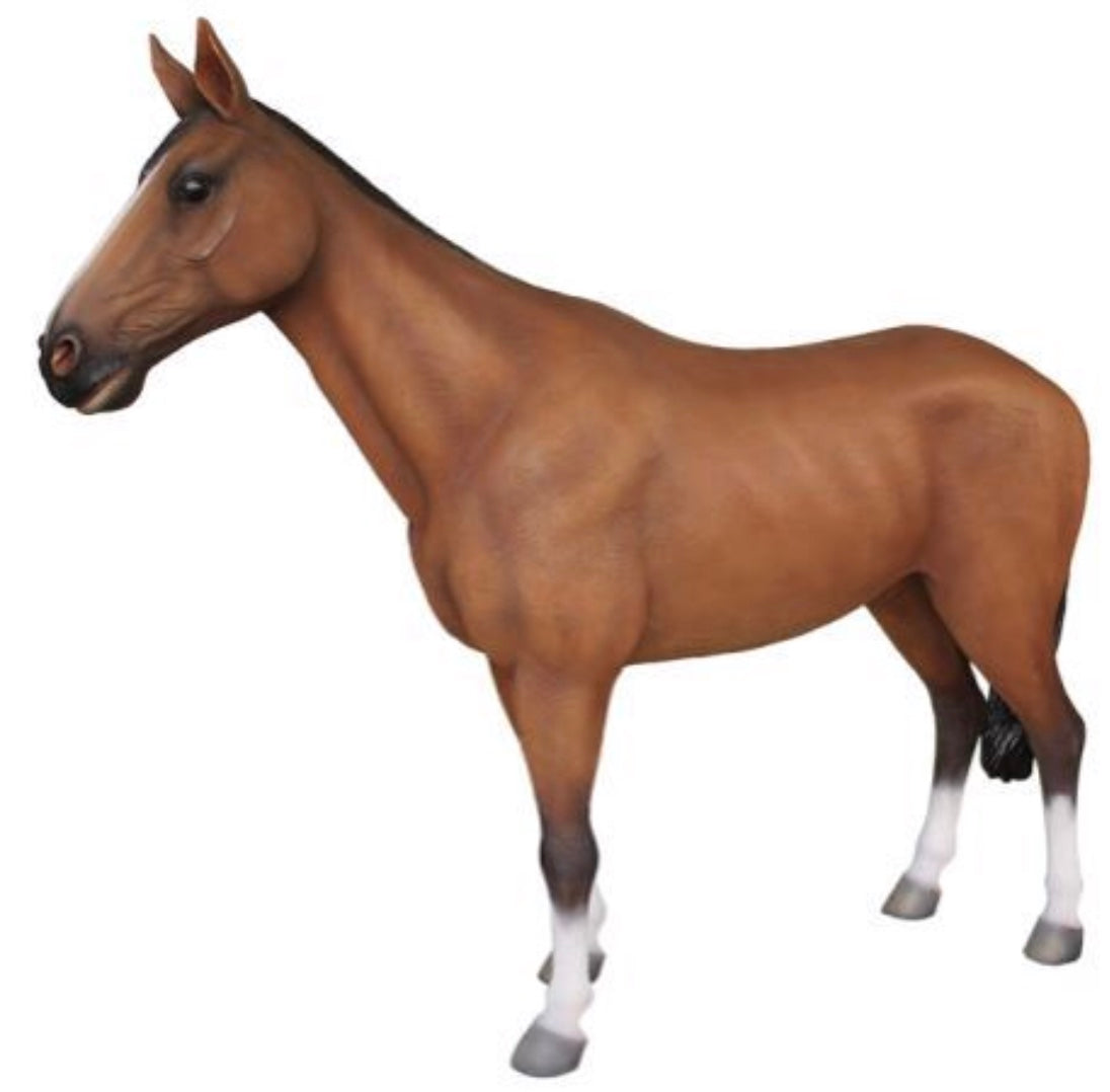 Large Tan & White Horse