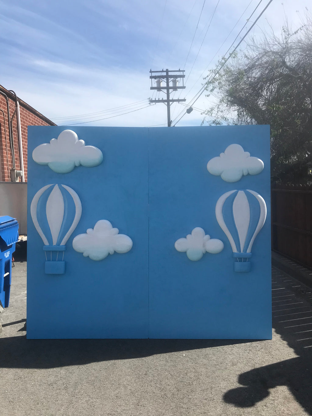 Hot Air Balloon Backdrop