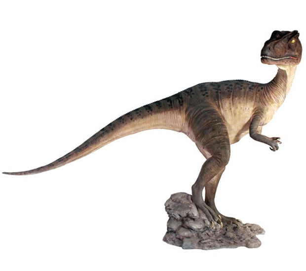 Head Turned Allosaurus Dinosaur