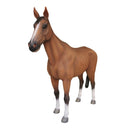 Large Tan & White Horse