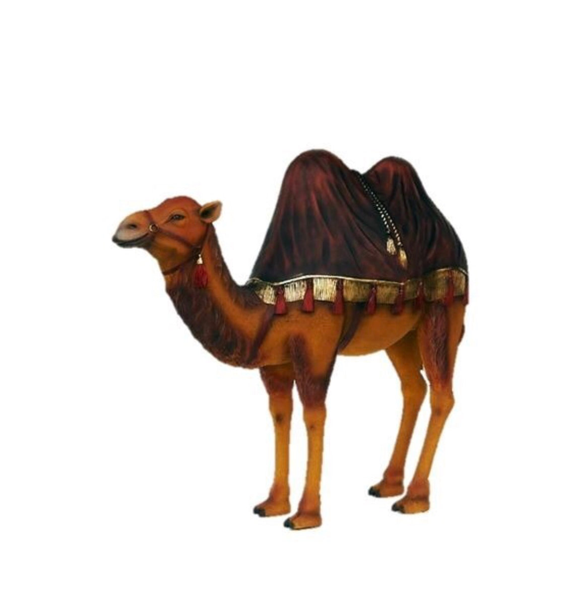 Moroccan Camel