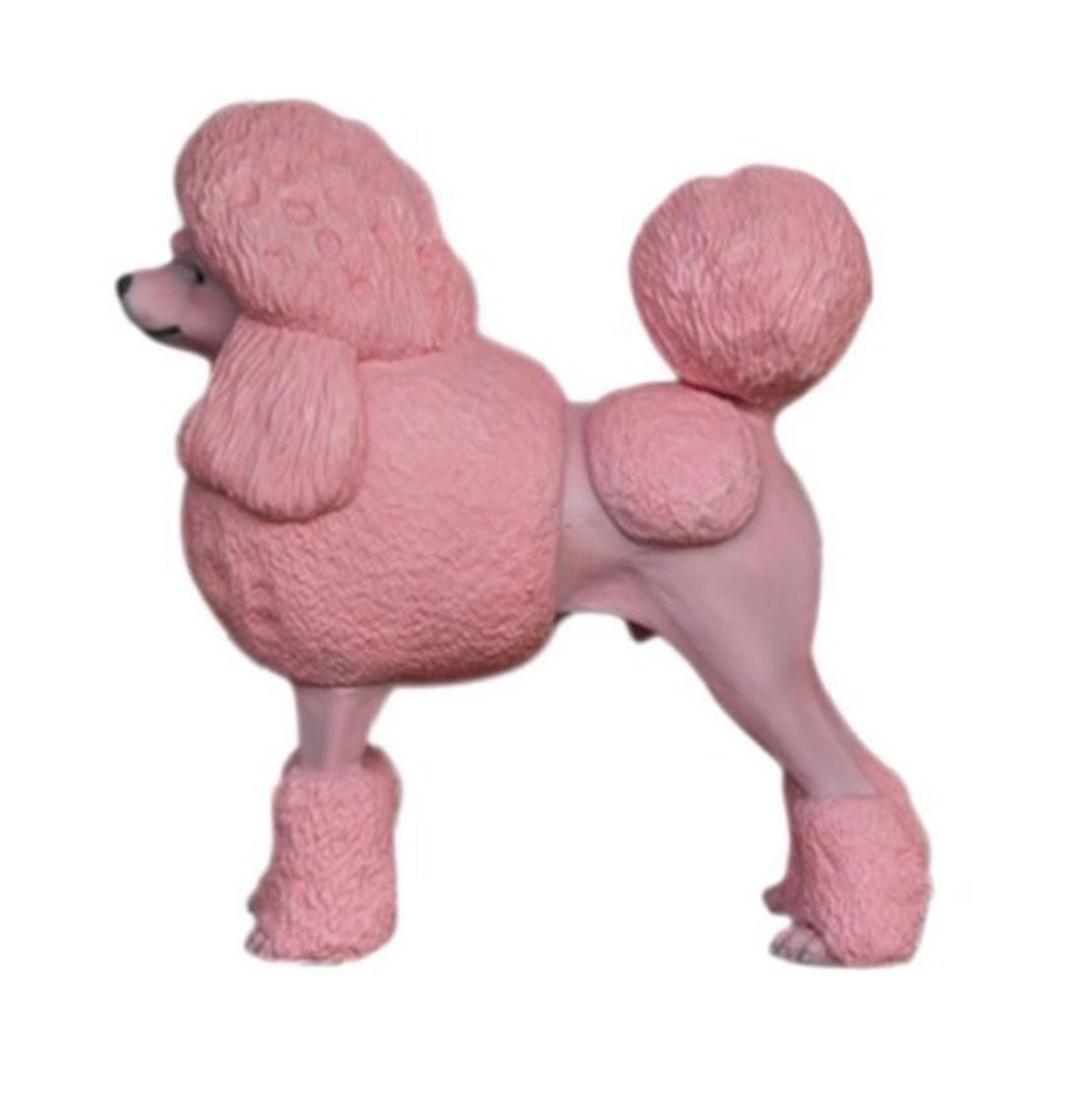 Light Pink Mini Poodle