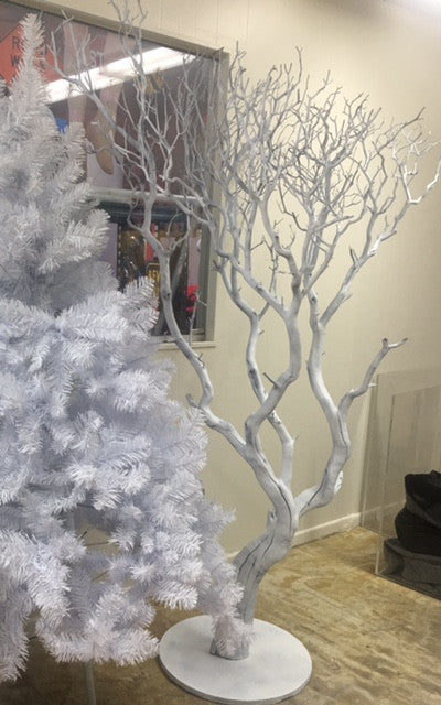 White Manzanita Tree