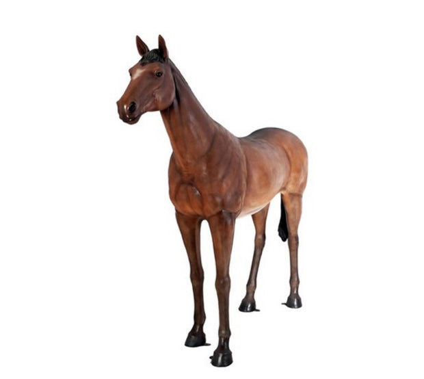 Large Dark Brown Horse