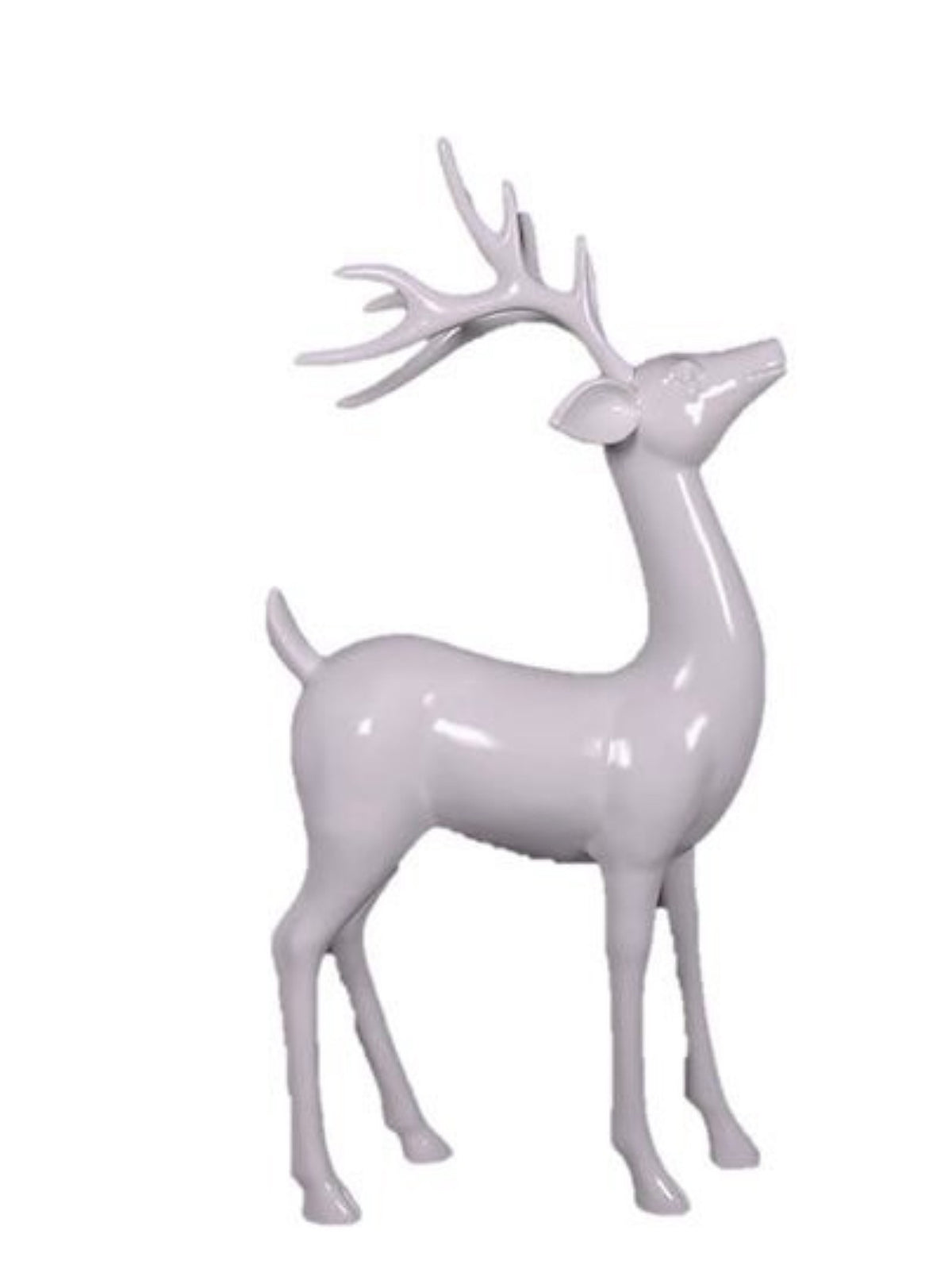 White Reindeer