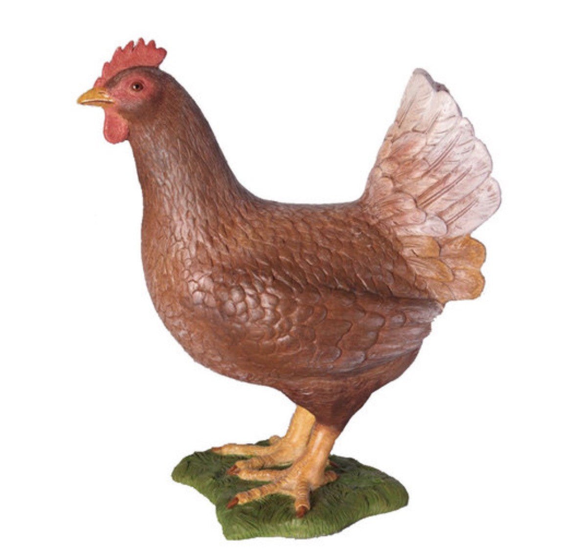 Brown Chicken Hen