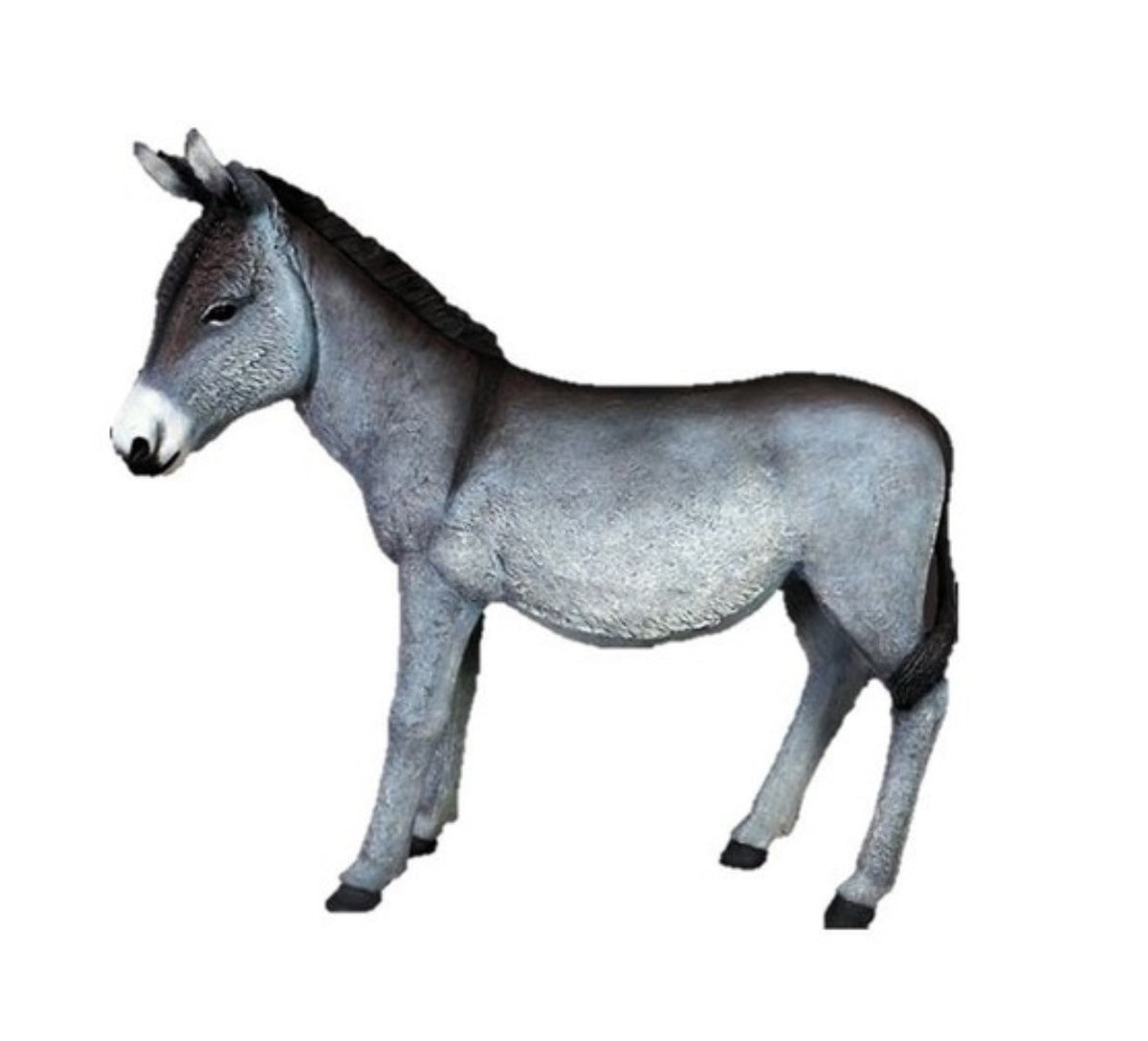 Grey Donkey