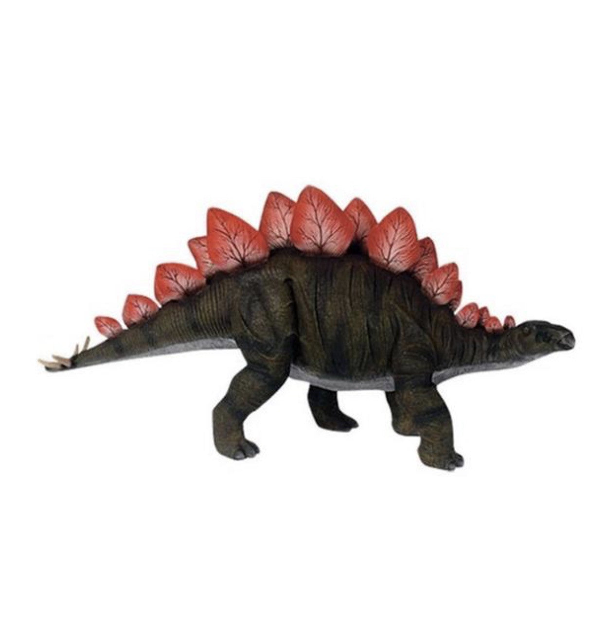 Baby Stegosaurus Dinosaur