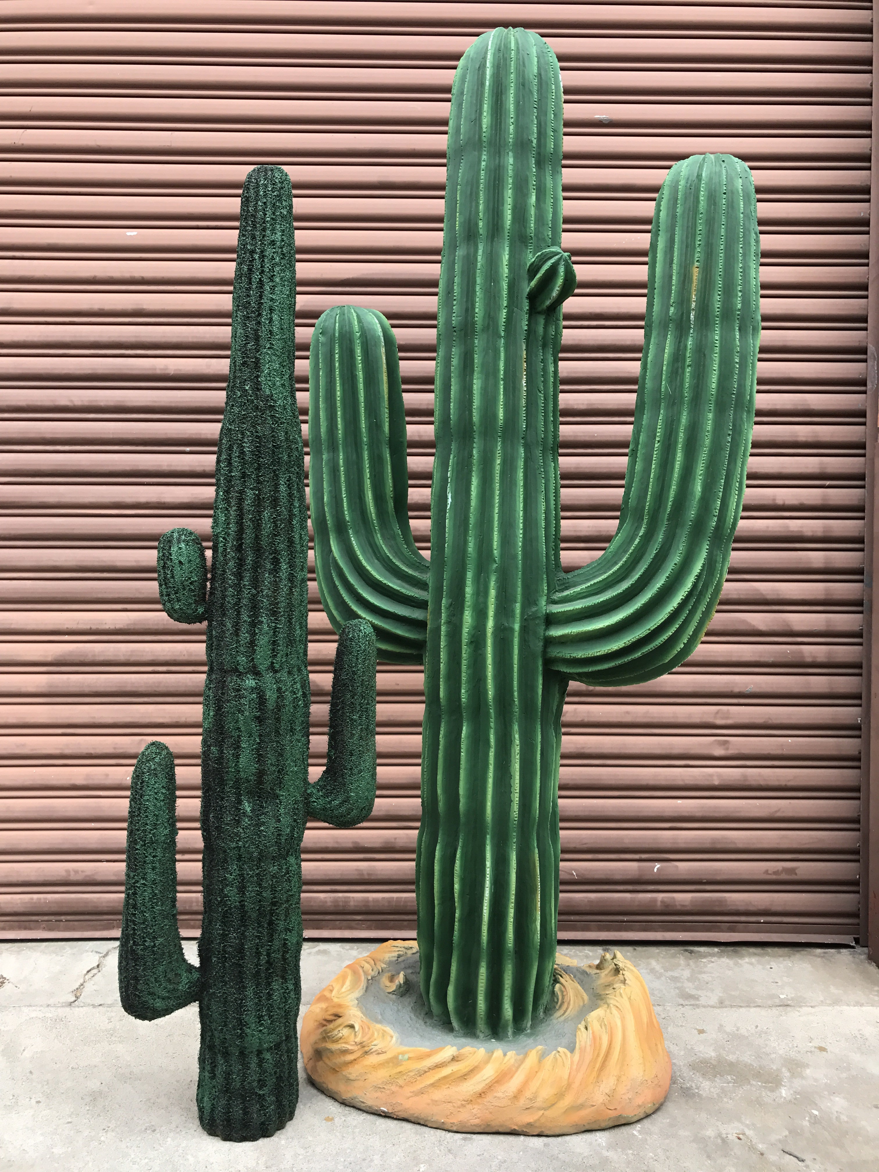 Desert Cactus