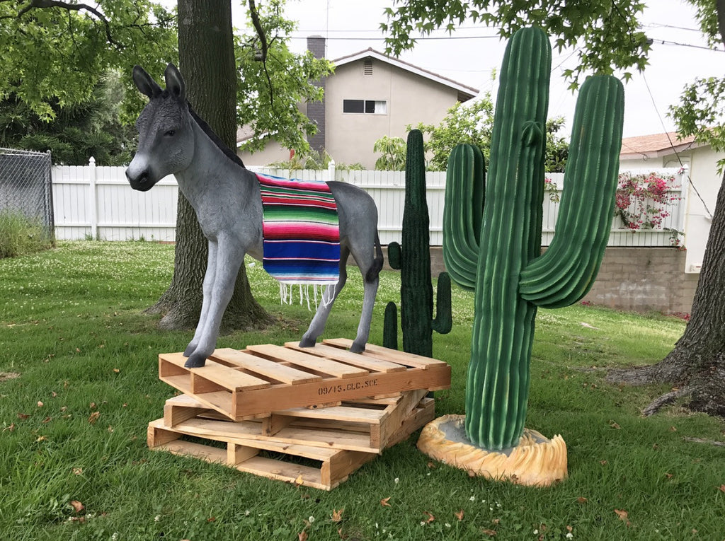 Western Cactus